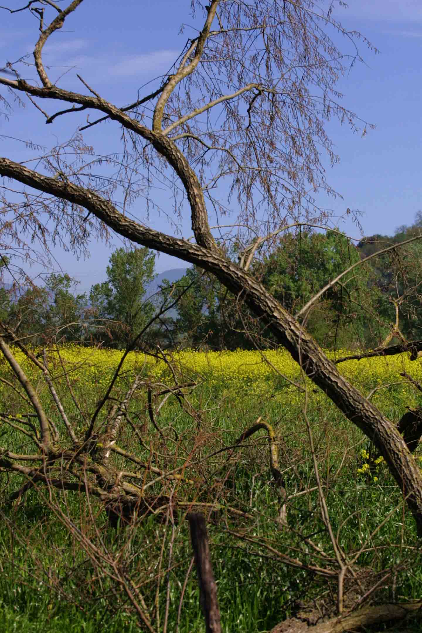 Riserva Tevere - Farfa